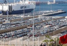 The Port of Tangier Med and the automotive sector: the duo driving Morocco’s economy