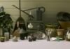 The $1,500 Garden Gear Giveaway