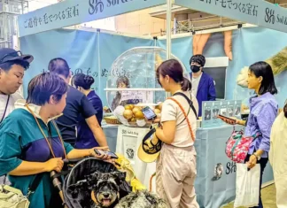Japanese Firm Turns Pet Ashes into Gemstones as Memorial Market Grows