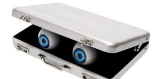 Maker packs an opinionated, googly-eyed AI chatbot into a mobile suitcase, powered by an Nvidia Jetson — entirely local machine entity runs Gemma 4 E4B and can respond in 200ms