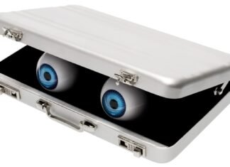 Maker packs an opinionated, googly-eyed AI chatbot into a mobile suitcase, powered by an Nvidia Jetson — entirely local machine entity runs Gemma 4 E4B and can respond in 200ms