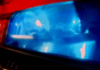More than $140K in jewelry stolen from Oxford home, police say