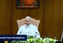 Pope calls for ‘disarming’ of AI, technology should be ‘human friendly’