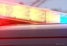 1 adult, 1 minor hospitalized after Pasco car crash