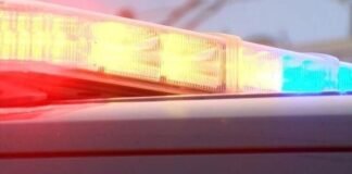 1 adult, 1 minor hospitalized after Pasco car crash