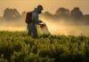 Iowa watches Senate action on pesticide immunity shield