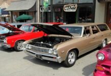 Cruise to feature loaded May show with special displays, guests