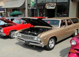 Cruise to feature loaded May show with special displays, guests