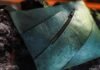 Lab-grown Tyrannosaurus leather: More chicken than dinosaur?