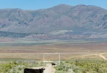 Utahns’ love/hate relationship with artificial intelligence