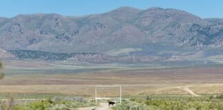 Utahns’ love/hate relationship with artificial intelligence