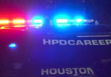 Counterfeit Rolex, Cartier and Louis Vuitton items worth up to $300K linked to Houston store, records show