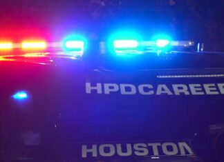 Counterfeit Rolex, Cartier and Louis Vuitton items worth up to $300K linked to Houston store, records show