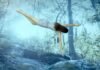 This photographer took huge “leap of faith” to build a bespoke underwater studio in the grounds of her Australian home