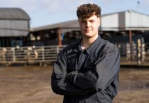 Farmer Focus: AI request results in bespoke breeding index