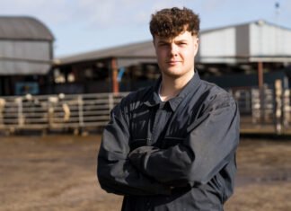 Farmer Focus: AI request results in bespoke breeding index