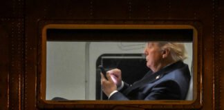 Donald Trump needs artificial intelligence. He lacks the other kind