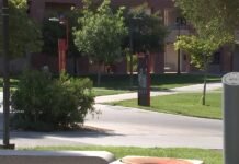 Las Vegas students and schools weigh impact of artificial intelligence on entry-level employment