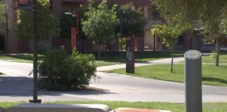 Las Vegas students and schools weigh impact of artificial intelligence on entry-level employment