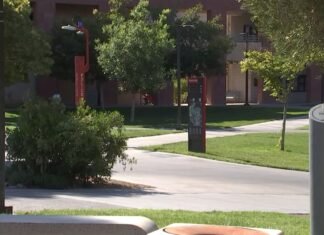 Las Vegas students and schools weigh impact of artificial intelligence on entry-level employment