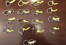 Brookings Police arrest jewelry store burglar who stole $78,000 in diamond rings
