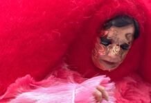 Björk Brings the Rave—and a Fiberglass Bottega Veneta Dress—to Venice Biennale