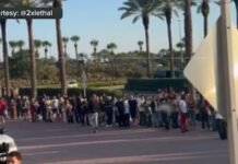 Pop Royal frenzy forces shutdown of Swatch store at The Mall of Millenia
