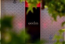 The village inside the Wulu: How Qeelin turns Dong life into luxury jewelry