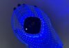 We Want Smoother, More Rejuvenated Hands—These LED Hand Masks Have Changed the Game