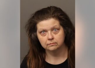 Canton pet sitter accused of stealing jewelry from client’s home