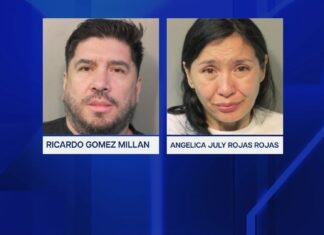 Two accused of stealing handbags, alcohol and cash in Great Neck home burglary