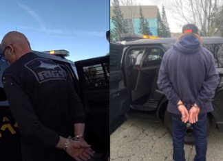 2 arrested in $180,000 jewelry theft at Roseville Galleria
