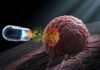 From bespoke to scalable: closing the manufacturing gap in advanced therapeutics