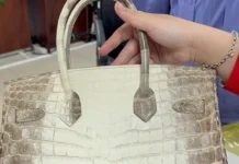 Two Hermes handbags confiscated from death row tycoon Truong My Lan up for auction at nearly $156K
