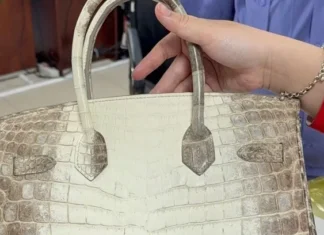 Two Hermes handbags confiscated from death row tycoon Truong My Lan up for auction at nearly $156K