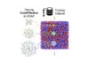 Key structures to metallic glass stability revealed with machine learning
