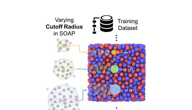 Key structures to metallic glass stability revealed with machine learning