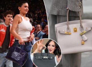 Fashionistas can rent a once-dare-to-dream Hermès Birkin bag — but critics wonder if the business model is a scheme