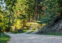 Can We Still Choose Our Path to the Hybrid Future?