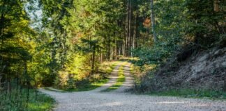 Can We Still Choose Our Path to the Hybrid Future?