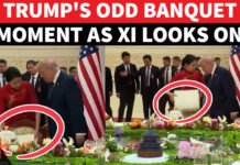 ‘WHAT WAS THAT FOR?’ Awkward Trump Banquet Moment As Xi Watches Quietly