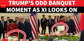 ‘WHAT WAS THAT FOR?’ Awkward Trump Banquet Moment As Xi Watches Quietly