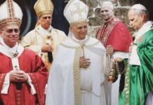 A Year of Pope Leo XIV, a Year of Pope-Fits
