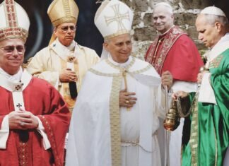 A Year of Pope Leo XIV, a Year of Pope-Fits