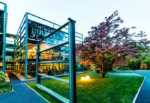 Richemont weathering the luxury slowdown thanks to jewelry