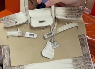 Two Hermes handbags seized from death row tycoon Truong My Lan auctioned for $536K