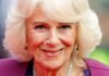 Queen Camilla’s new £1.5k handbag might be her most daring yet