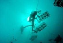 Sea Changes in the World of Pearls