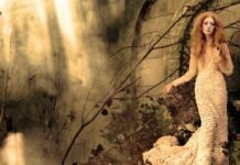 What the 2026 Summer Solstice Means for Every Star Sign