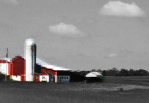 Rural Proofing Artificial Intelligence